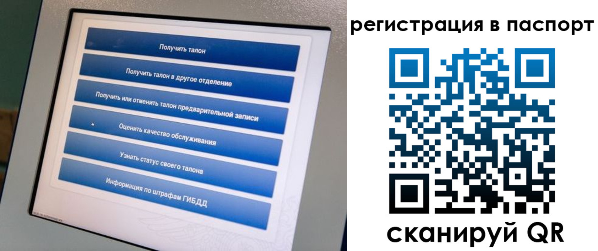 временная регистрация адрес в Тимашёвске